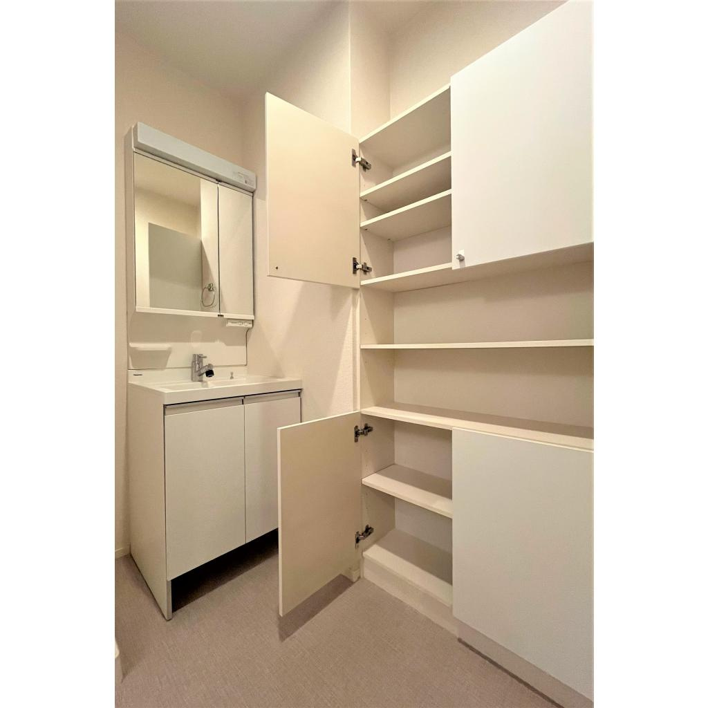 グレイス奥林Aの洗面所