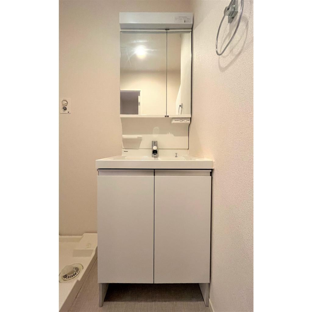 グレイス奥林Aの洗面所