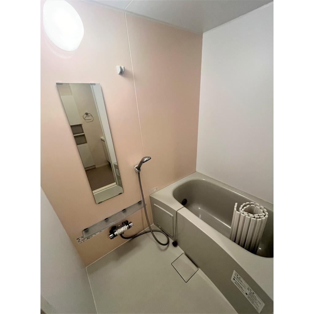 グレイス奥林Aの浴室