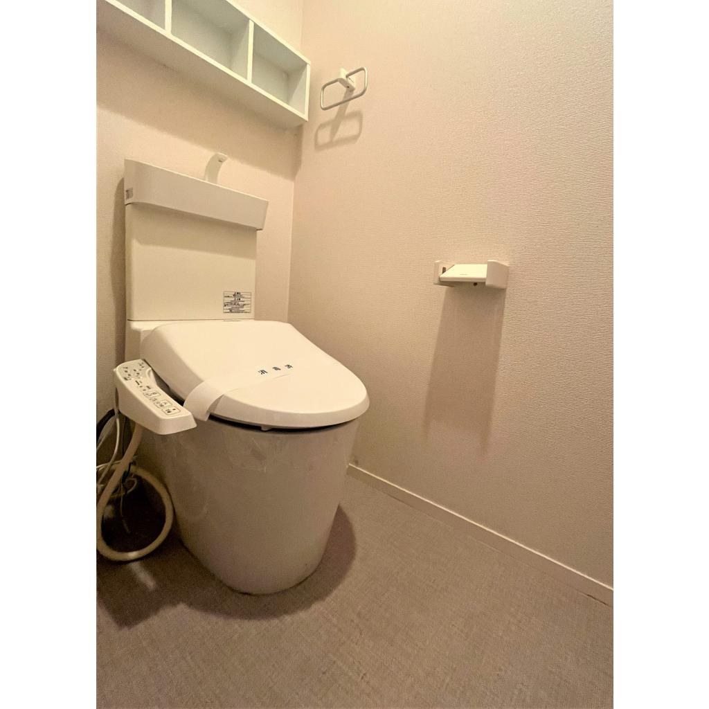 グレイス奥林Aのトイレ