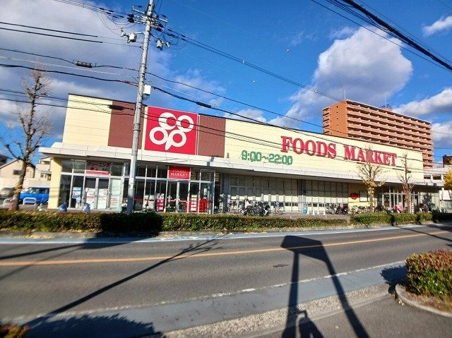 玉串町西２丁目アパートの周辺|コープ　若江店まで1000m