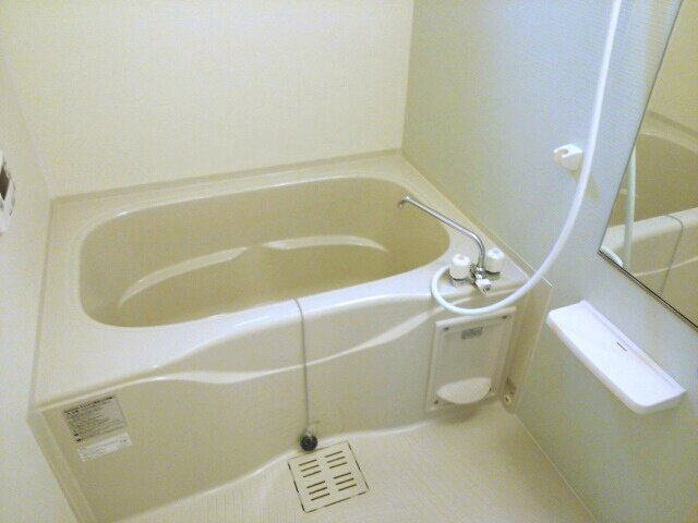 セレンディピティ・ちゅらヴィラの浴室