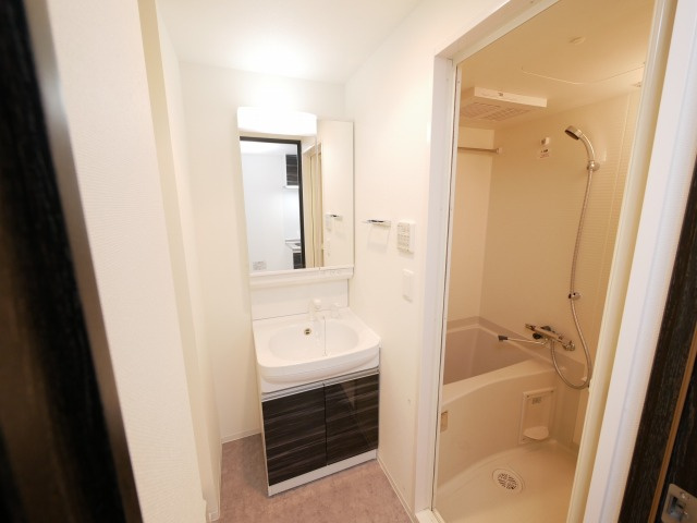 アドバンス大阪ルーチェの洗面所