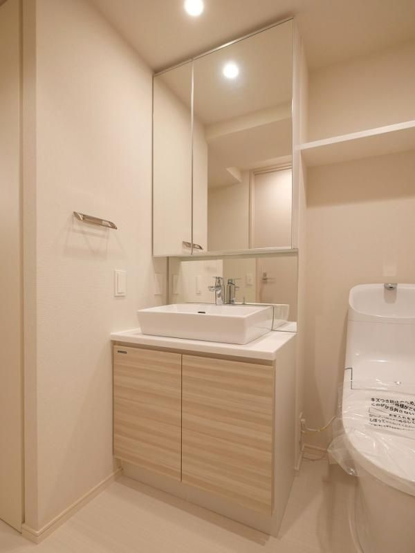 セジョリ墨田EASTⅢの独立洗面台