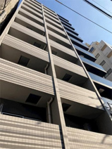 アルテシモリュクスの画像