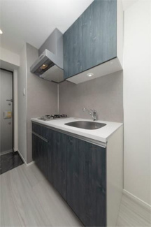  | アルテシモリュクス