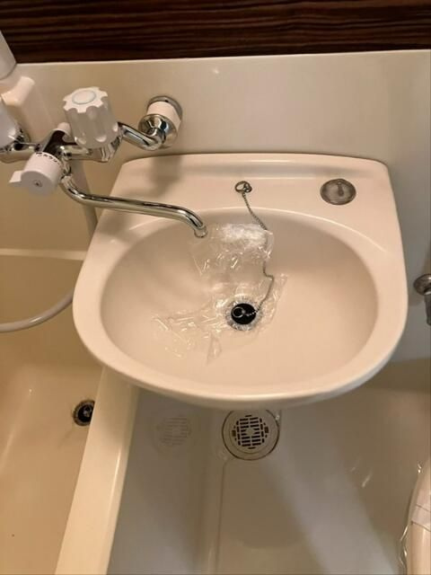 Hearty亀戸(ハーティー)の洗面所|3点ユニット（バス・トイレ同室）