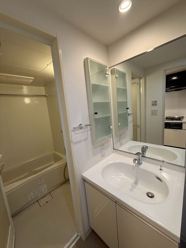 エスティメゾン押上の独立洗面台