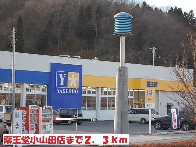 サン・イズミⅡの周辺|薬王堂小山田店まで2300m
