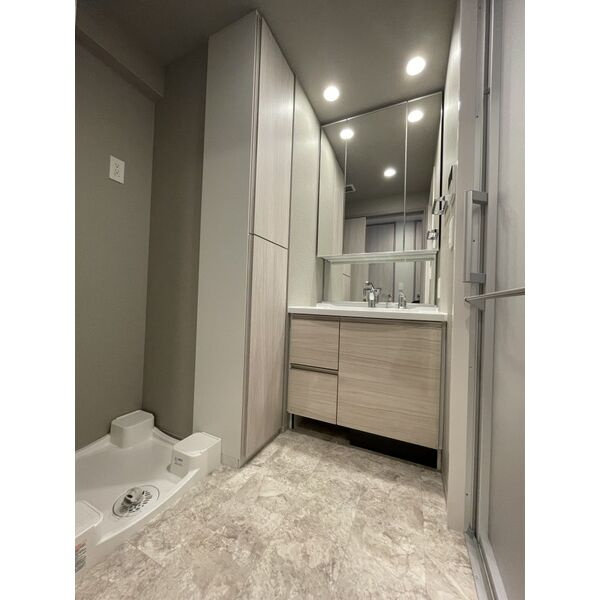 レーベン姫路本町の洗面所