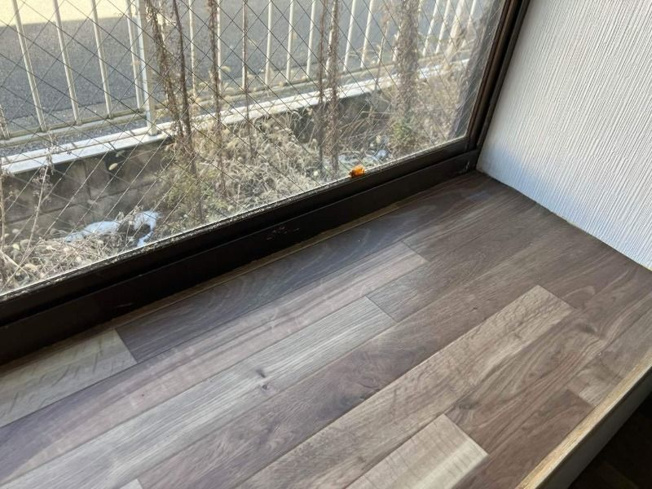 【展望】 | シャンボールＡ