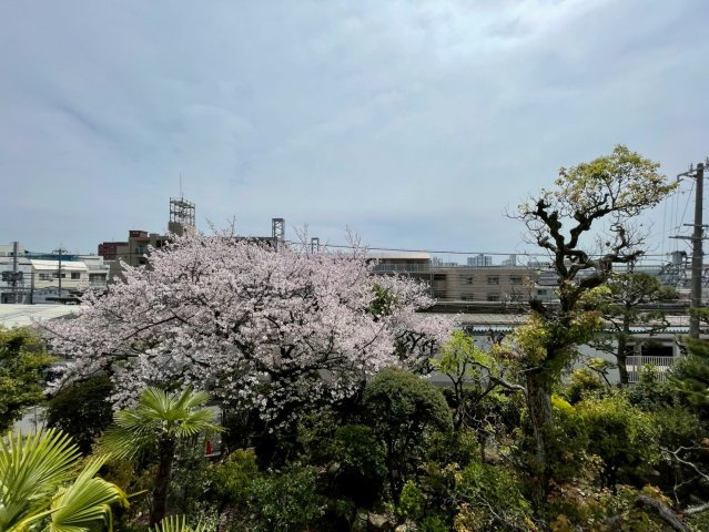 22番館の展望
