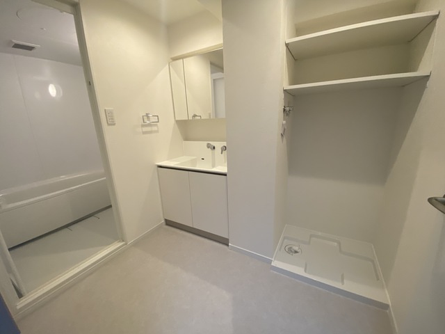 ロイヤル山芦屋の洗面所
