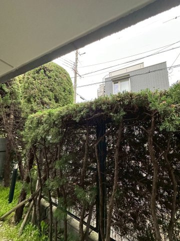 ロイヤル山芦屋の庭
