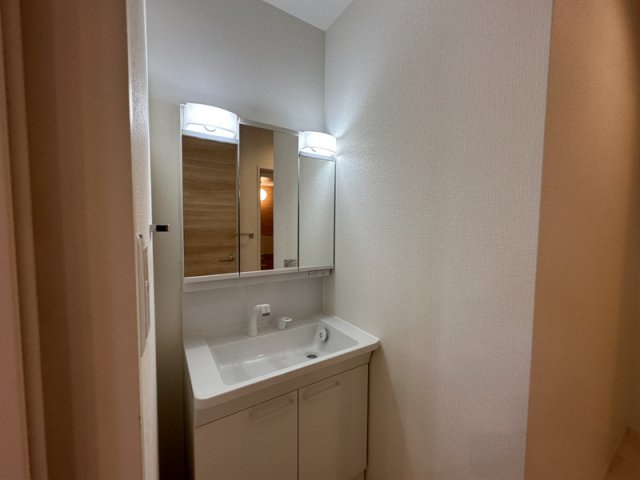 シャーメゾン土山西の洗面所