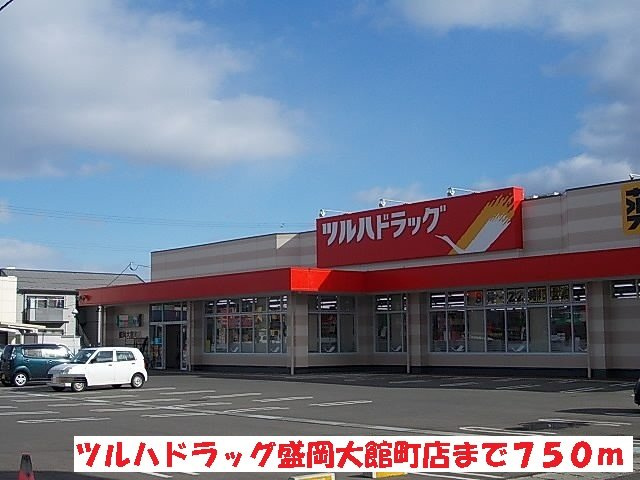 南青山ガーデンハイツの周辺|ツルハドラッグ盛岡大館町店まで750m