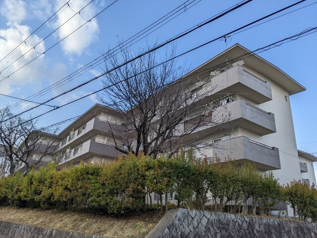 【外観】 | 円明寺ヶ丘団地B棟