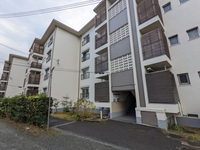 【エントランス】 | 円明寺ヶ丘団地B棟
