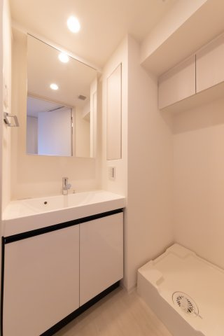 プラウドフラット浅草トレサージュの独立洗面台
