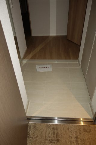 ミレーネ滝野川の玄関