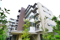 White Stork叶屋の画像
