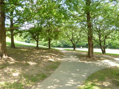 真光寺公園まで350ｍ