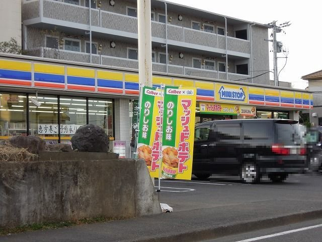 ラピスラズリⅤの周辺|ミニストップまで550m