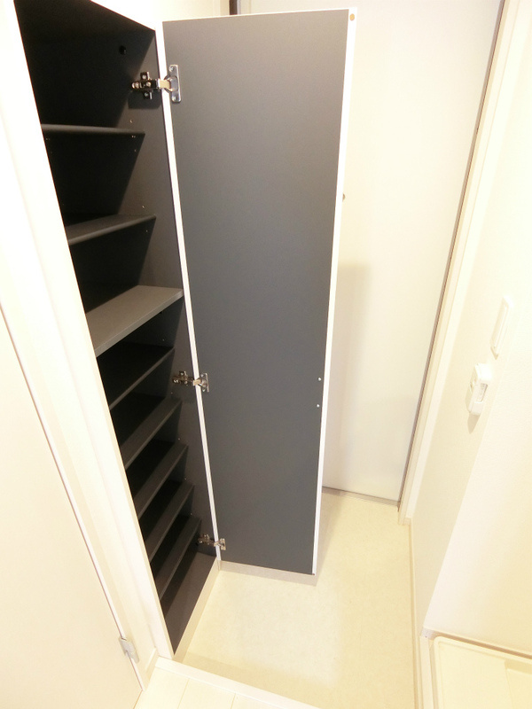 リブリ・ラシーナⅢのその他