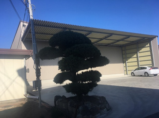 【その他】