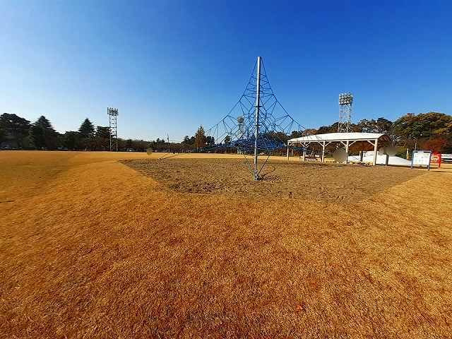 チェリー・ブロッサムＲ　Ⅱの周辺|高田城址公園芝生広場まで650m