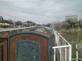 【周辺】 | マハナ | 引地川まで160m