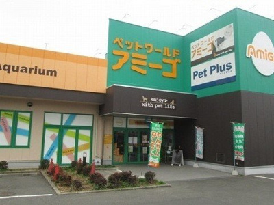 【周辺】 | マハナ | ペットワールド　アミーゴまで350m