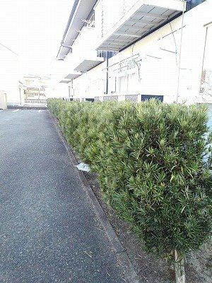 【その他】 | ＣＡＬ２１