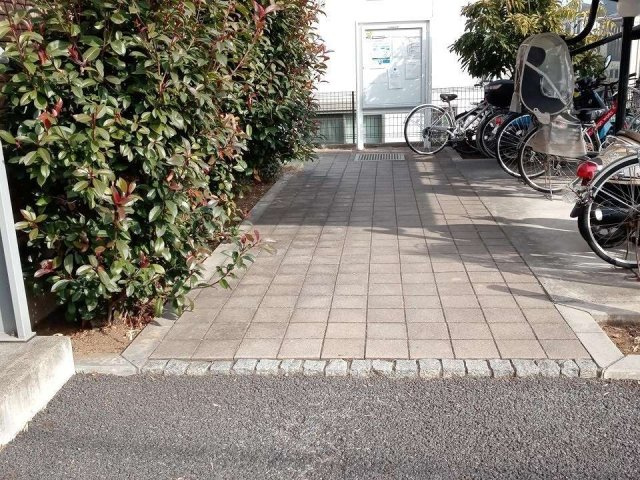 レオネクストレジナのその他