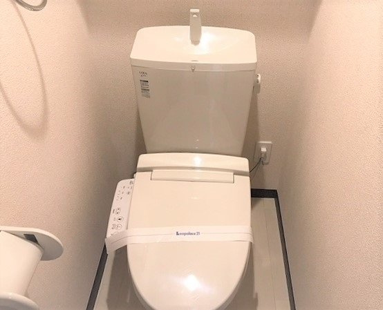 レオネクストレジナのその他