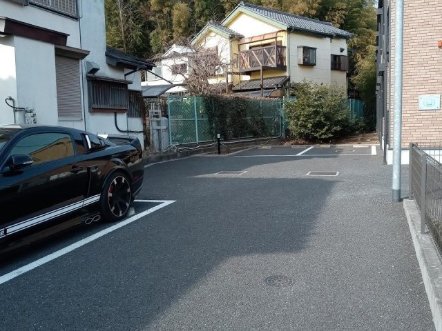 レオネクストレジナのその他