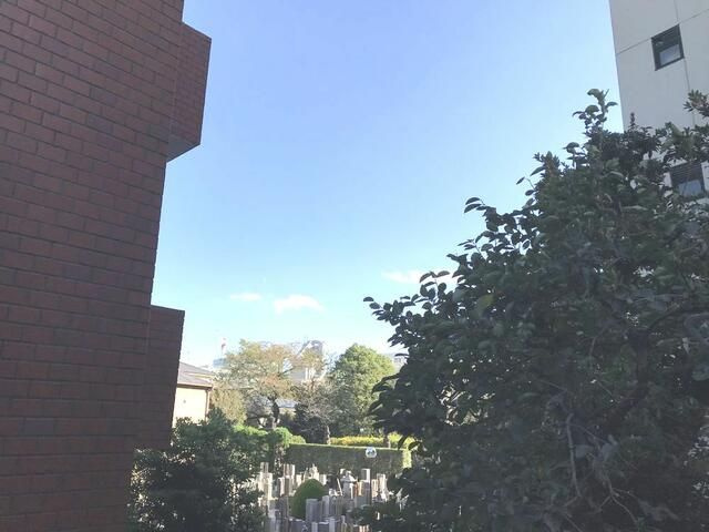 Ｇｌａｎｚ小石川（グランツ小石川）の展望