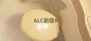 新中野スカイレジテルのトイレ
