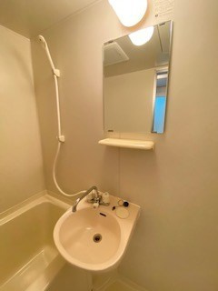 アルシュ住吉の洗面所