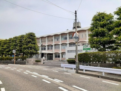 【その他】 | ファイン・フォルティス