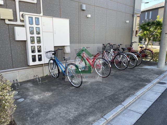 ニューウエストのその他