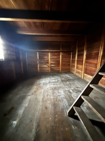 【その他】の画像