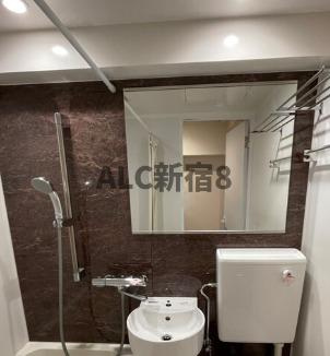 ライオンズマンション市谷薬王寺の洗面所