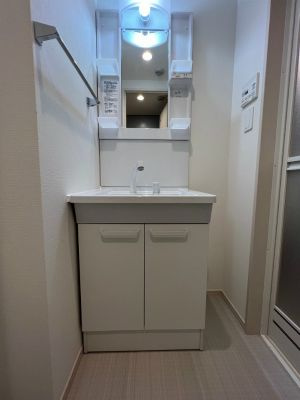 グレイス岩槻Ⅱ の独立洗面台