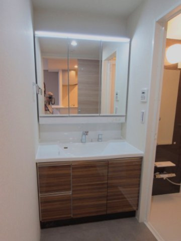 エミナール祇園の洗面所