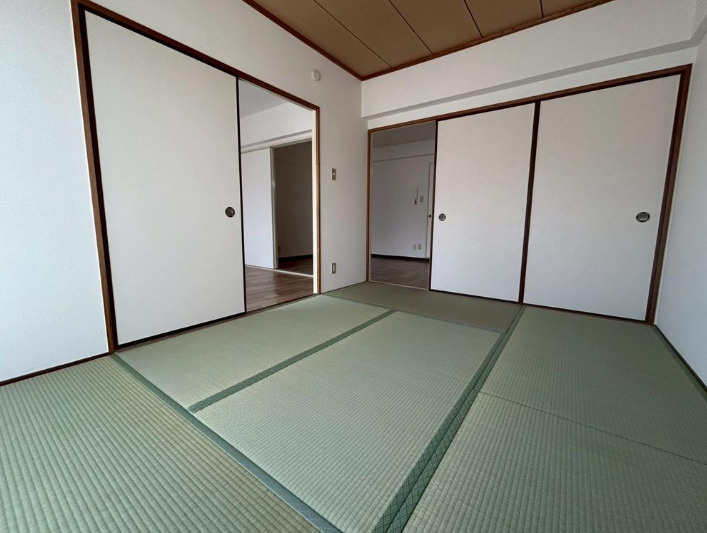 アミール西野のその他