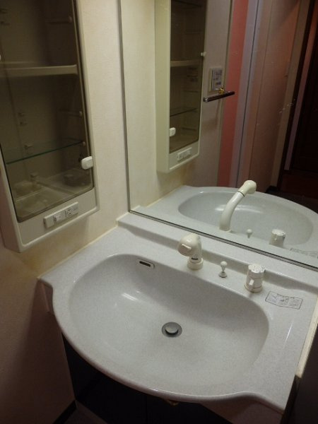 新品家具付きマンション高井戸西11(KaGood東京)の洗面所