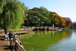 【周辺】 | 板橋区志村1丁目　中古戸建　11990万円 | 見次公園