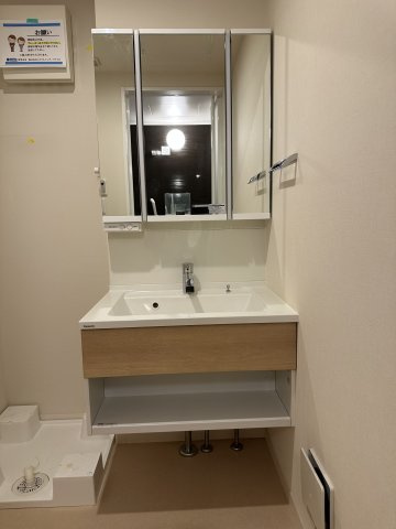 メゾン・イズミの洗面所