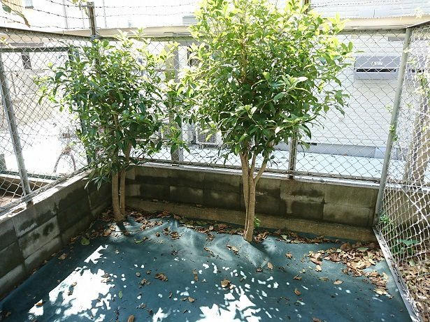 パンブロス２の庭|簡単な家庭菜園も楽しめるお専用庭です